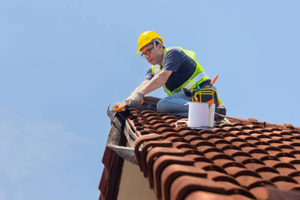 Best Roof Moss and Algae Removal  in Roy, UT